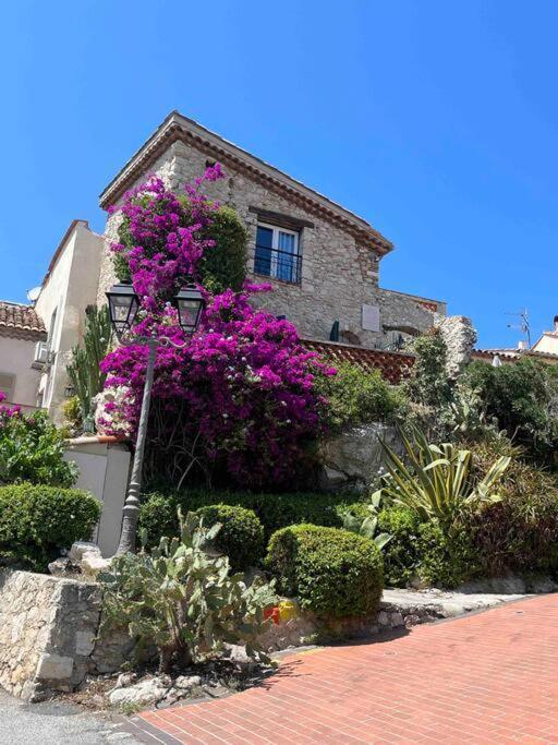 Moringa - New Unit For 2 Ac Close To Beach Antibes Ngoại thất bức ảnh